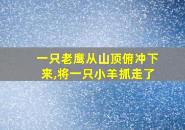 一只老鹰从山顶俯冲下来,将一只小羊抓走了