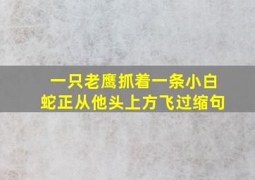 一只老鹰抓着一条小白蛇正从他头上方飞过缩句