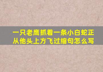 一只老鹰抓着一条小白蛇正从他头上方飞过缩句怎么写