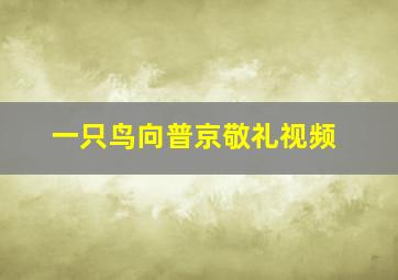 一只鸟向普京敬礼视频