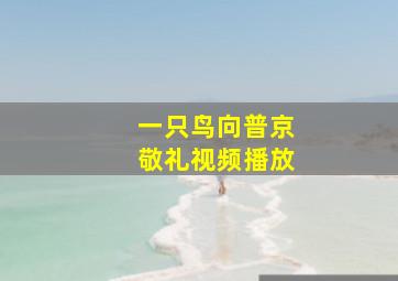 一只鸟向普京敬礼视频播放