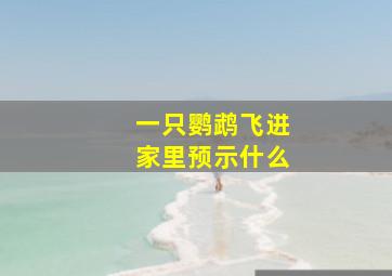 一只鹦鹉飞进家里预示什么