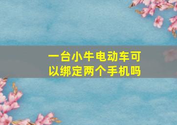 一台小牛电动车可以绑定两个手机吗