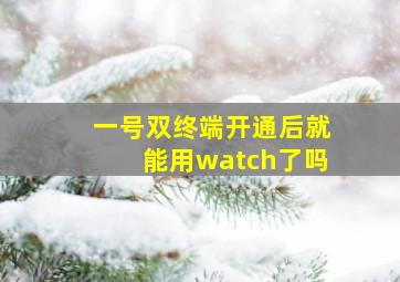 一号双终端开通后就能用watch了吗