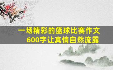 一场精彩的篮球比赛作文600字让真情自然流露