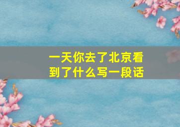 一天你去了北京看到了什么写一段话