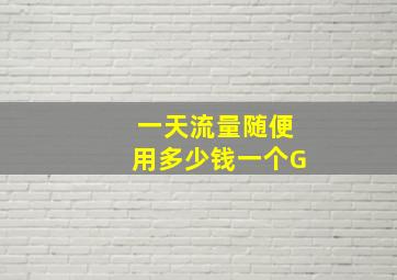 一天流量随便用多少钱一个G