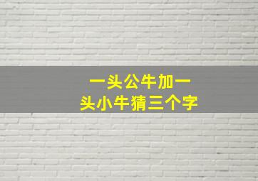 一头公牛加一头小牛猜三个字