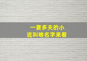 一妻多夫的小说叫啥名字来着