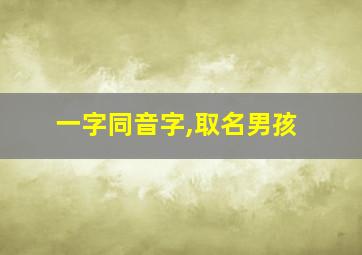 一字同音字,取名男孩