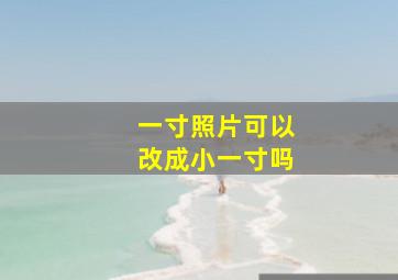 一寸照片可以改成小一寸吗