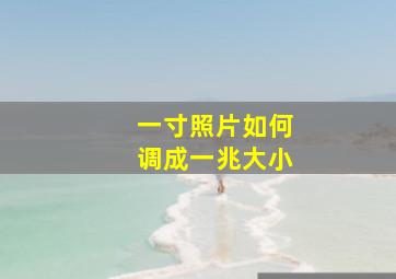 一寸照片如何调成一兆大小