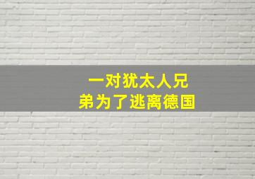 一对犹太人兄弟为了逃离德国