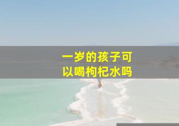 一岁的孩子可以喝枸杞水吗