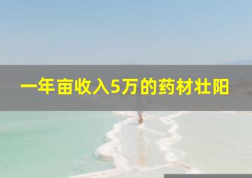 一年亩收入5万的药材壮阳