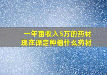 一年亩收入5万的药材现在保定种植什么药材