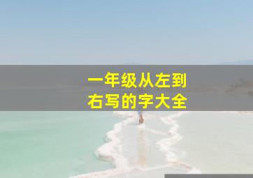 一年级从左到右写的字大全