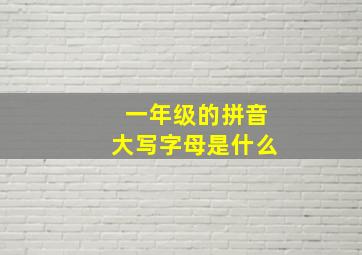 一年级的拼音大写字母是什么