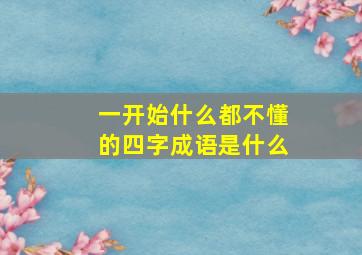 一开始什么都不懂的四字成语是什么