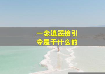 一念逍遥接引令是干什么的