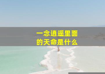 一念逍遥里面的天命是什么