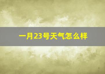 一月23号天气怎么样