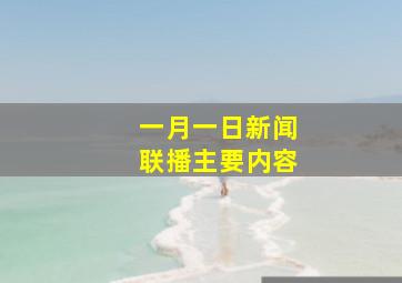 一月一日新闻联播主要内容