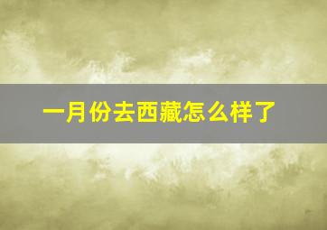 一月份去西藏怎么样了