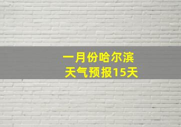 一月份哈尔滨天气预报15天