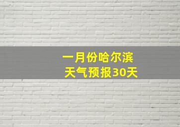 一月份哈尔滨天气预报30天