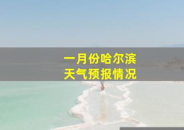 一月份哈尔滨天气预报情况