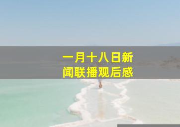 一月十八日新闻联播观后感