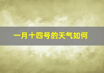 一月十四号的天气如何