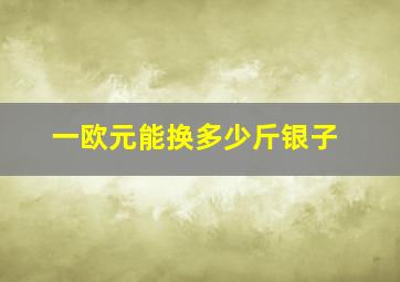 一欧元能换多少斤银子