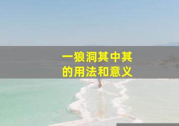 一狼洞其中其的用法和意义