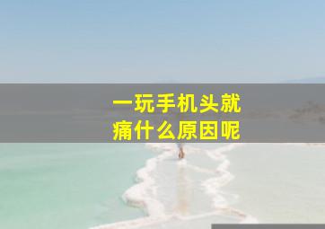 一玩手机头就痛什么原因呢