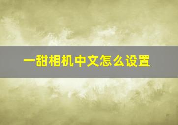 一甜相机中文怎么设置