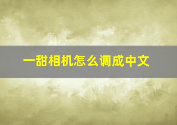 一甜相机怎么调成中文