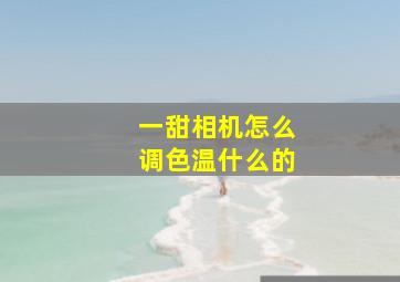 一甜相机怎么调色温什么的