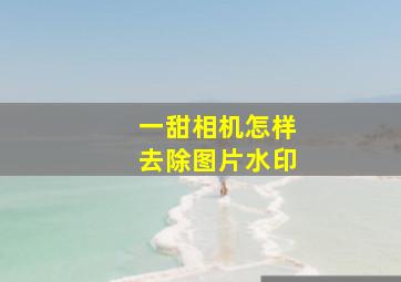 一甜相机怎样去除图片水印