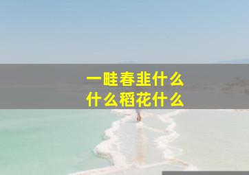 一畦春韭什么什么稻花什么