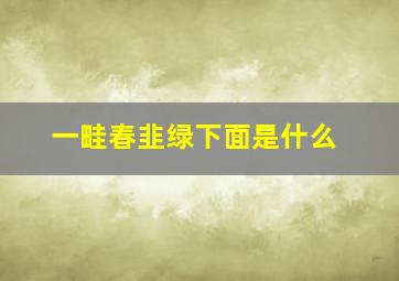 一畦春韭绿下面是什么