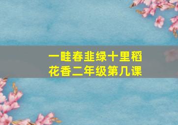 一畦春韭绿十里稻花香二年级第几课