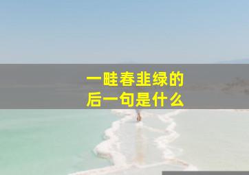 一畦春韭绿的后一句是什么