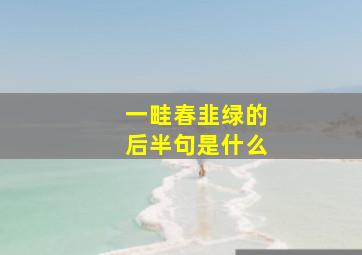 一畦春韭绿的后半句是什么