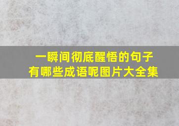 一瞬间彻底醒悟的句子有哪些成语呢图片大全集