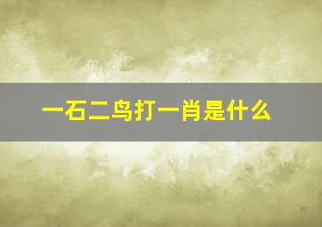 一石二鸟打一肖是什么