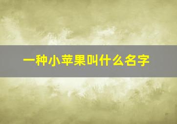 一种小苹果叫什么名字