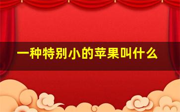 一种特别小的苹果叫什么