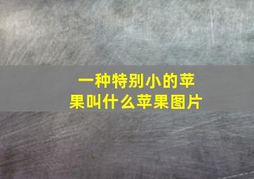 一种特别小的苹果叫什么苹果图片